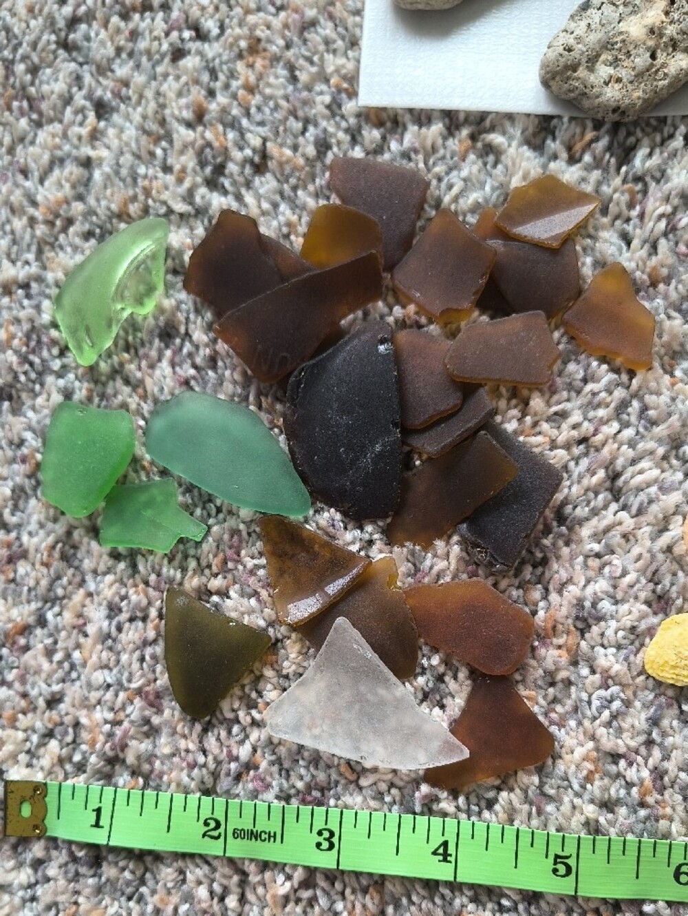 Seaglass & Shell Display - Picture 7 of 9